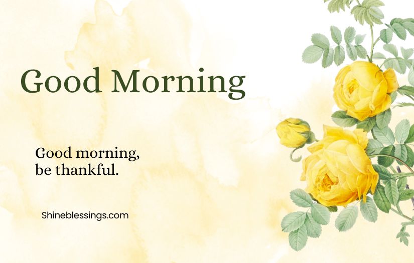 Uplifting Good Morning Wednesday Inspirational Quotes And Blessings
